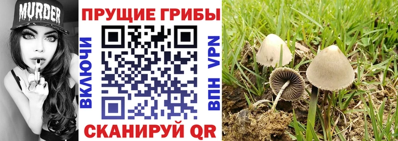 Псилоцибиновые грибы ЛСД  Лукоянов 